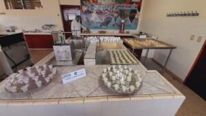 336669684_615027733535316_212392844645951534_n