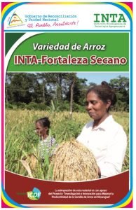Arroz INTA-Fortaleza Secano