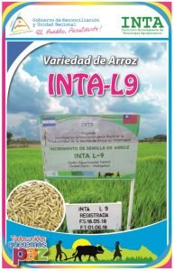 Arroz INTA-L9