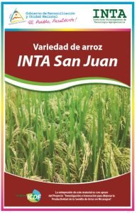 Arroz INTA San Juan