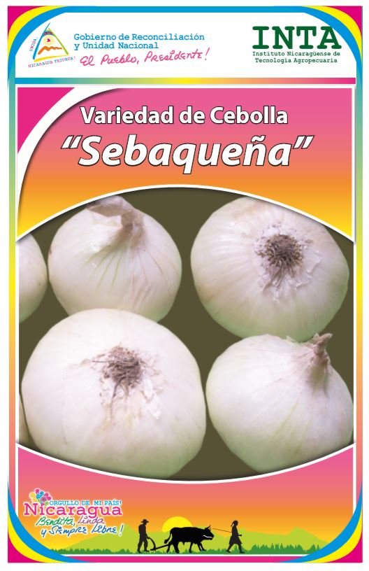 No hay una imagen disponible