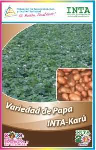 Papa INTA-Karú