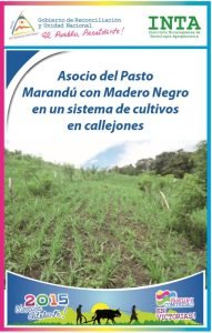 Asocio de Pasto Marandú con Madero Negro