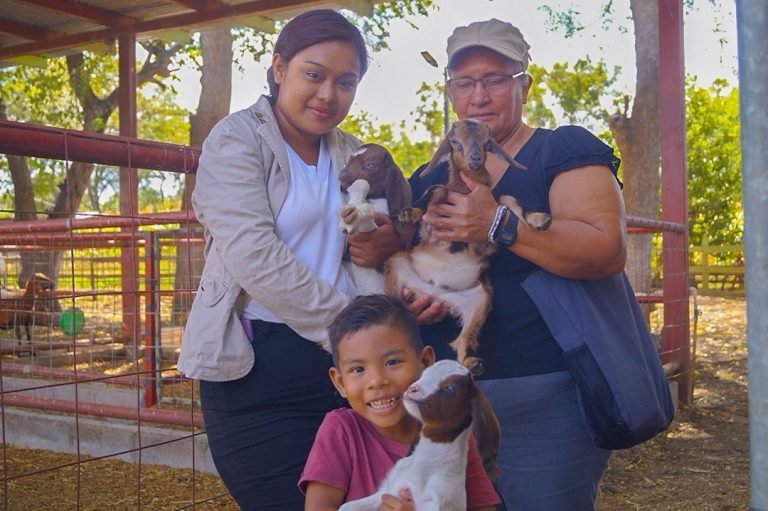 Lanzamiento del Curso sobre Mejoramiento Genético del hato Ovino y Caprino