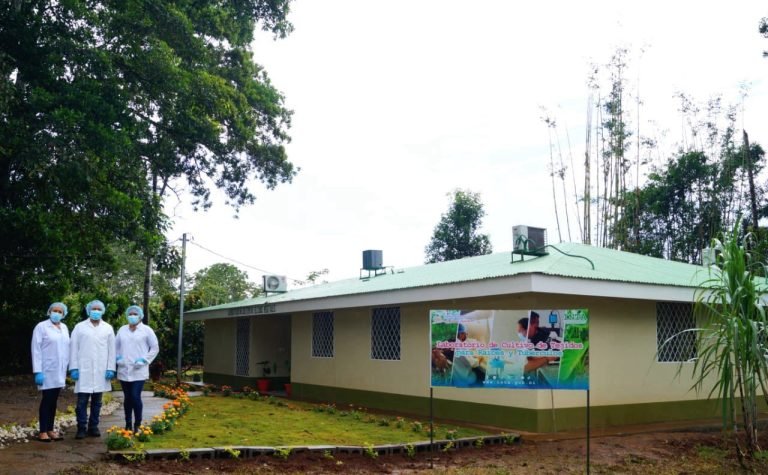 Nuevo Laboratorio de Cultivo de Tejidos para Raíces y Tubérculos