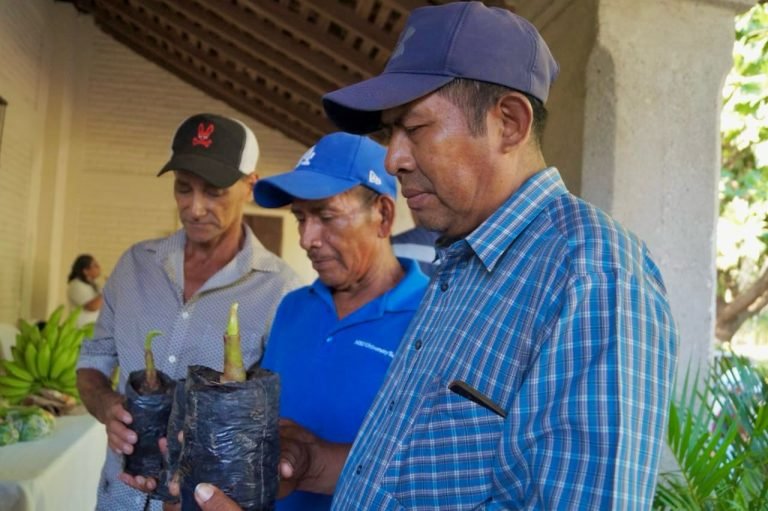 Foro Regional sobre Técnicas de Prevención y Manejo de Musáceas