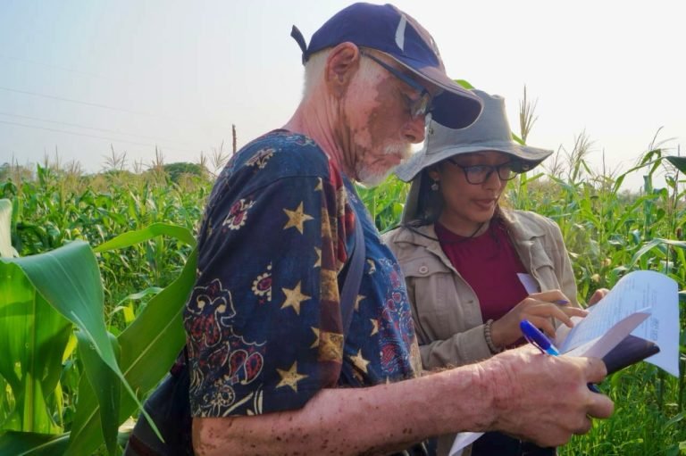 Tecnologías para el Manejo de Plagas y Enfermedades en Maíz