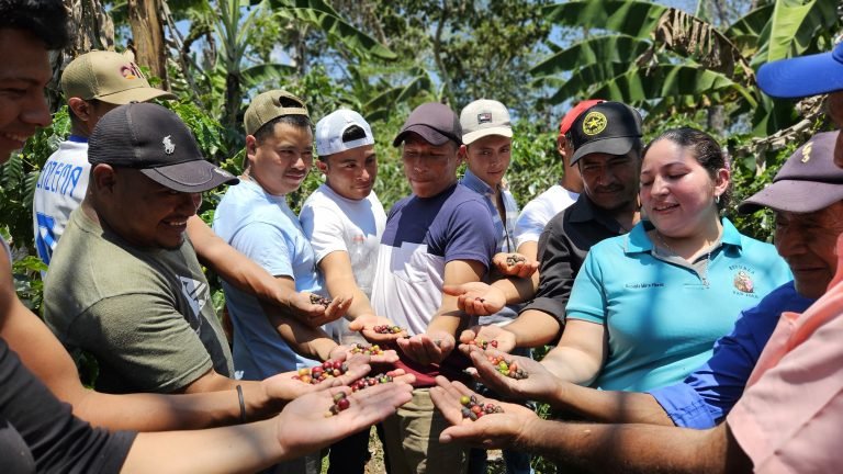 Resultados de Técnicas para el Control de Broca en Café