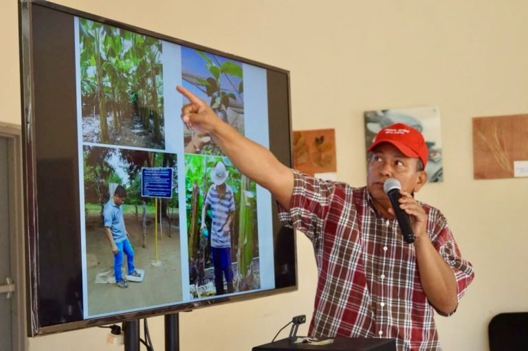 Foro Tecnológico sobre Manejo de Enfermedades en las Musáceas