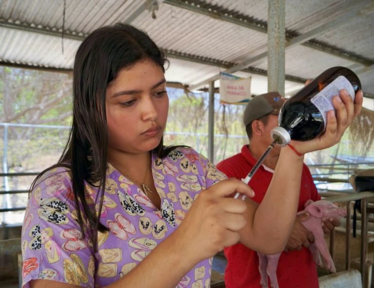 Escuela Departamental para la Producción Porcina de Precisión