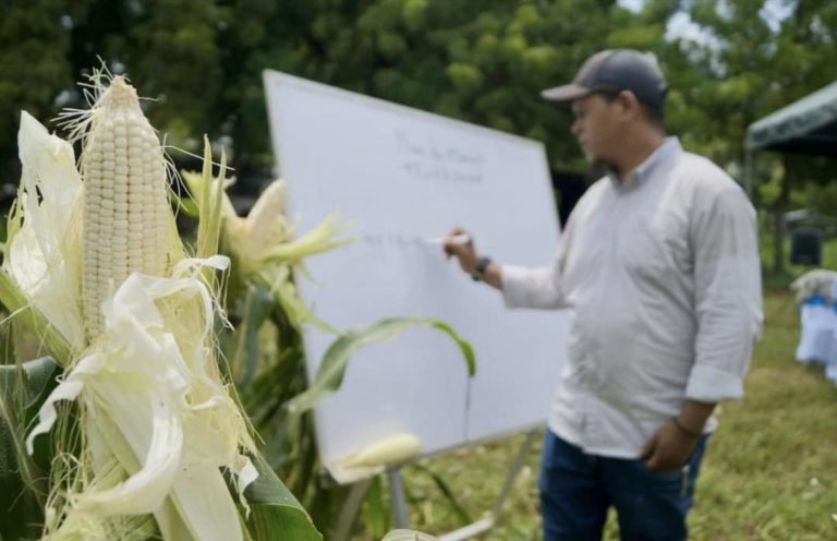 Presentación de Nuevo Programa de Nutrición en el Cultivo del Maíz