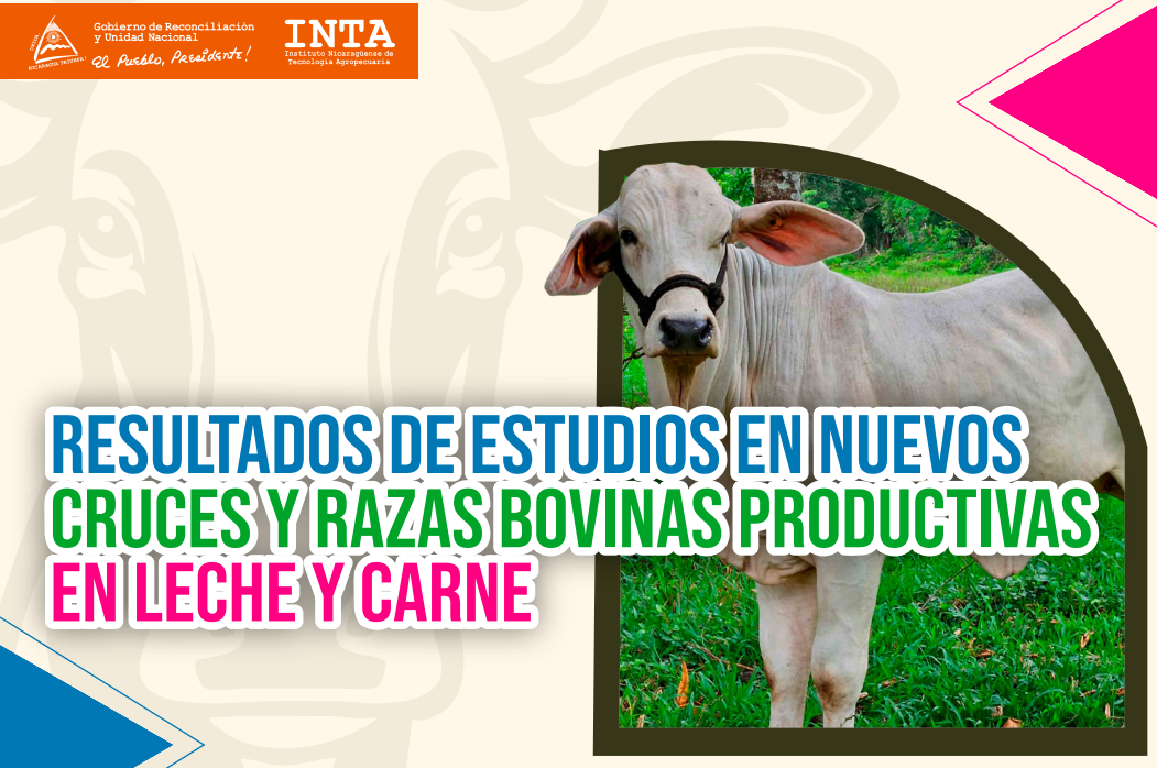 Catálogo Resultados Programa Bovino