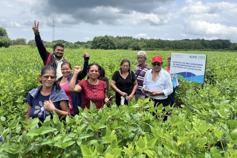 Presentación de Resultados de Nuevas Variedades de Soya
