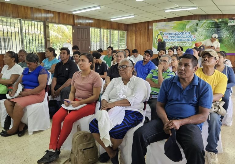 Innovaciones para la productividad de Quequisque