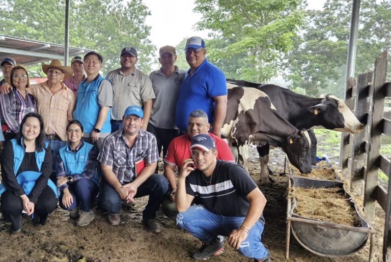 Evaluación intermedia del Proyecto para Mejorar la Productividad de la Ganadería en Nicaragua