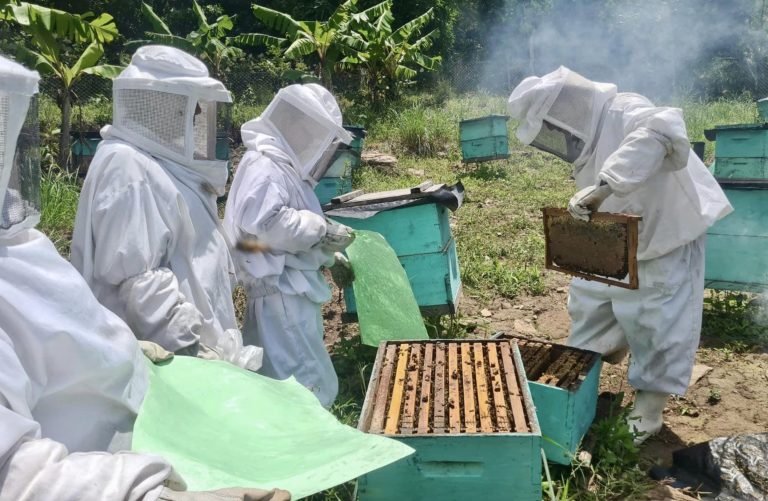 TECNOLOGÍAS PARA INCREMENTAR LA PRODUCCIÓN DE MIEL