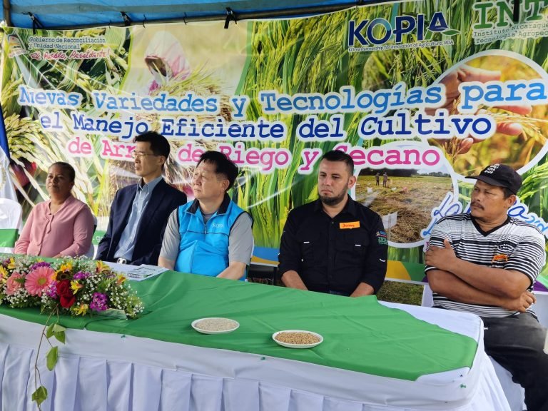 Resultados de Investigación de Nuevas Variedades y Tecnologías para el Manejo de Arroz