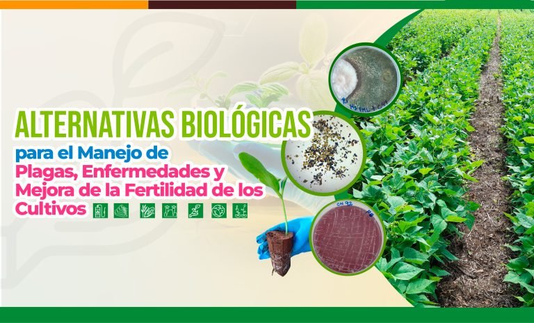 Alternativas para el Manejo de Plagas, Enfermedades y Mejorar la Nutrición de los Cultivos
