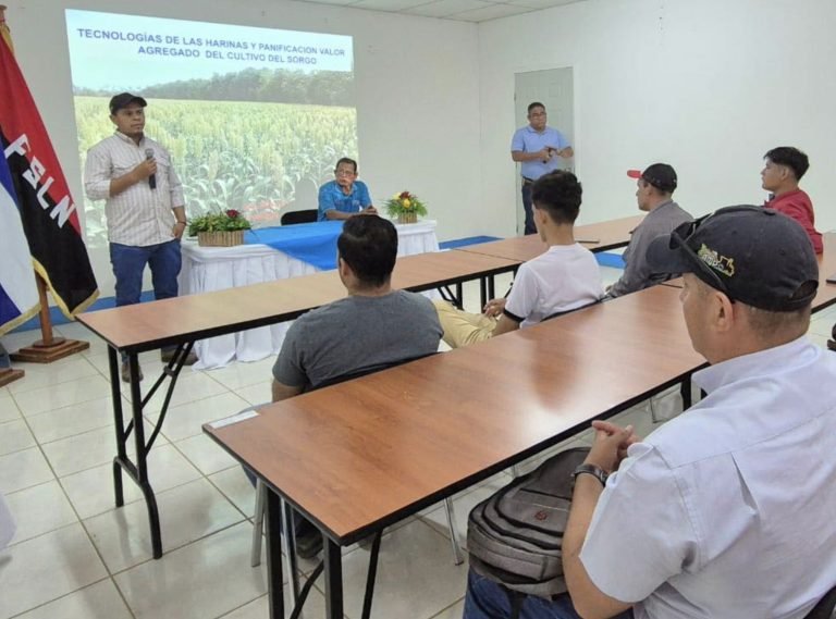 Presentación de Alternativas de Producción de Sorgo Doble Propósito