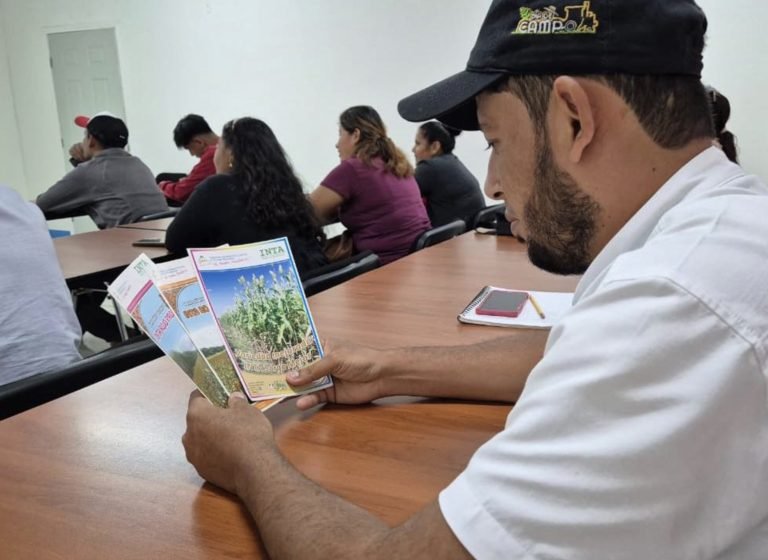 Presentación de Alternativas de Producción de Sorgo Doble Propósito