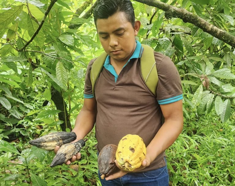 Foro sobre Identificación y Control de Enfermedades que Afectan el Cultivo de Cacao