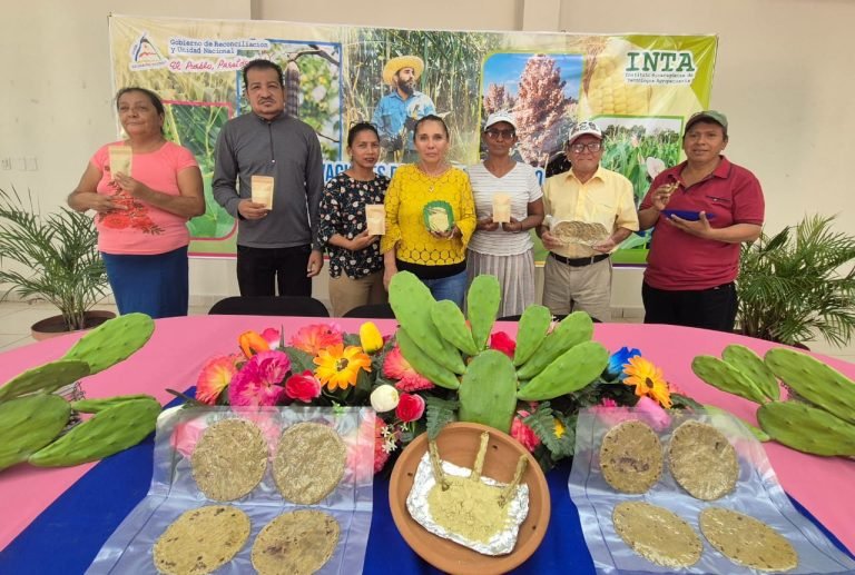 Nueva Tecnología Agroalimentaria de Harina a base de Nopal Criollo con inclusión de Nopal Mexicano