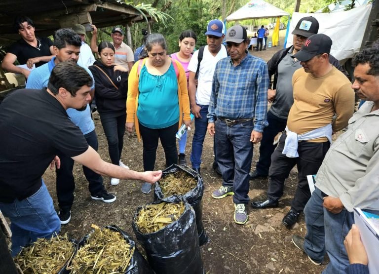 Presentación de Nuevo Sistema de Producción Biointensiva para una Ganadería Sostenible