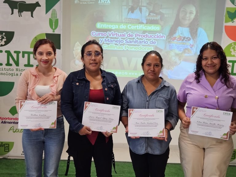 Entrega de Certificados del Curso Virtual de Producción y Manejo de Gallinas Ponedoras
