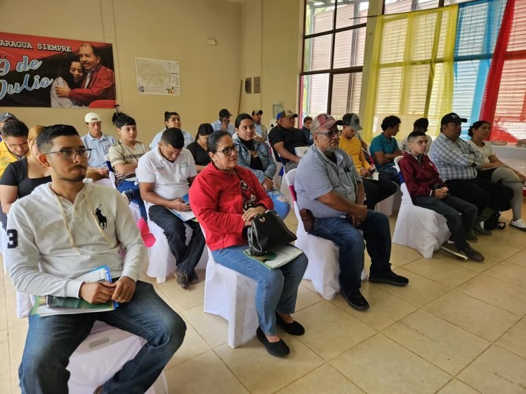 Lanzamiento del Curso de Manejo Básico de Colmenas con Abejas Africanizadas