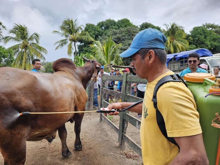 Alternativas Botánicas para el Control de Parásitos Externos del Ganado Bovino