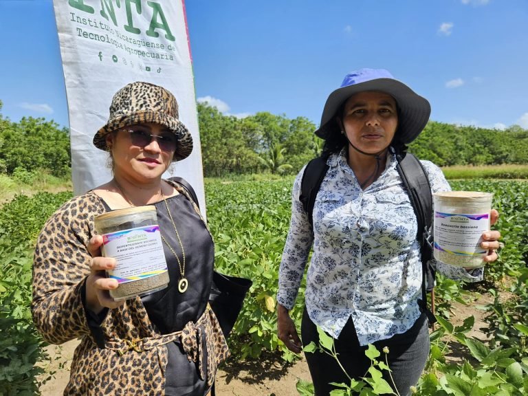 Resultados de Fertilización en el Cultivo de Soya con productores de Tipitapa y Villa El Carmen