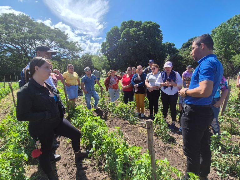 Prácticas y Tecnologías que Disminuyen Afectaciones por Acame en las Hortalizas
