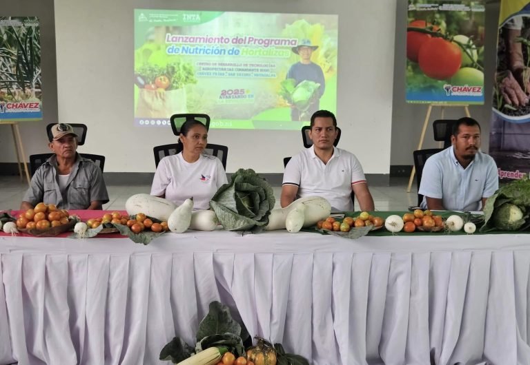 Programa para la Producción de Cebolla, Tomate, Chiltoma, Repollo, Ayote y Pipián