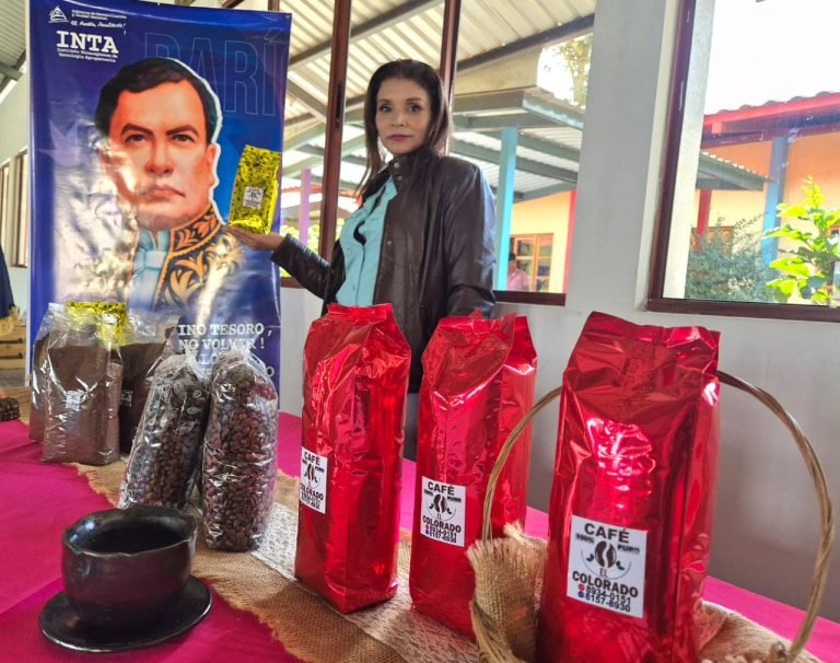 Tecnologías y Prácticas que Mejoran la Calidad en la Producción de Cafés Especiales