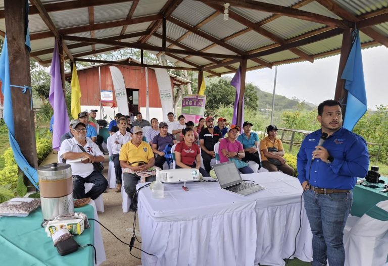 Presentación de Estudio sobre los Procesos Productivos del Cacao