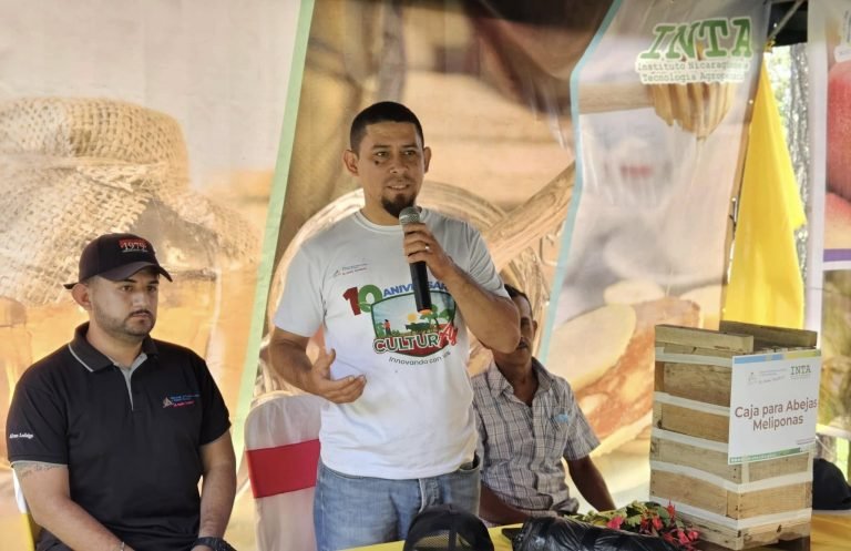 Técnicas de Manejo de Colmenas de Abejas Nativas para Incrementar la Producción de Miel