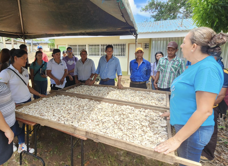 Resultados en el engorde de cerdos haciendo uso de alimentos concentrados