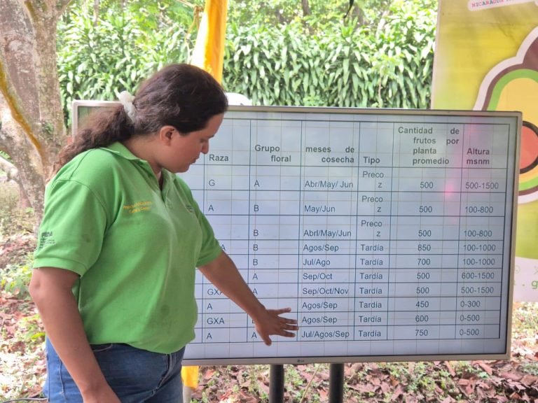 Resultados de prácticas agrícolas para el control de plagas en plantaciones de aguacate