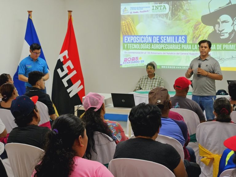 Semillas y tecnologías adaptadas a la variabilidad climática para la siembra de primera