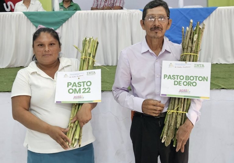 Encuentro regional de ganadería sostenible reduciendo la contaminación ambiental