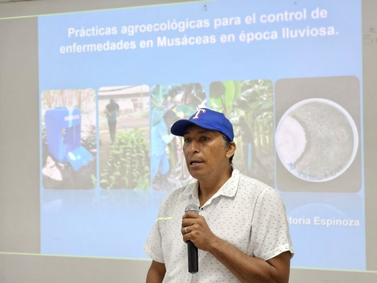 Conferencia Nacional sobre prácticas agroecológicas en musáceas