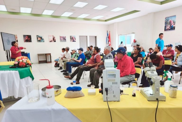 Presentación de insumos biológicos que mejoran la producción en el cultivo de maíz