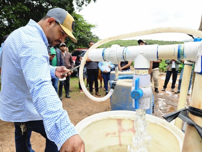 Técnicas para el establecimiento de sistema de riego por goteo