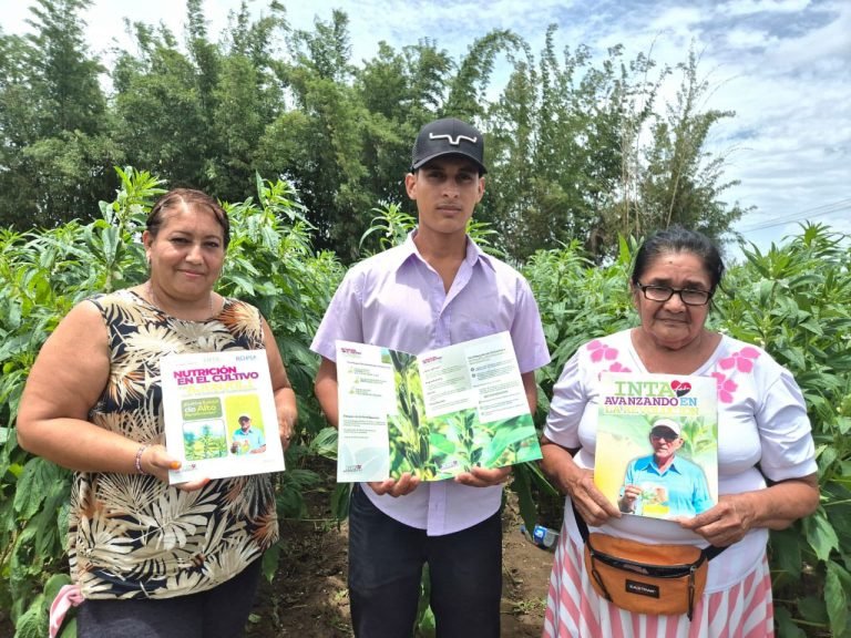 Presentación de cartilla digital sobre nutrición en el cultivo de Ajonjolí