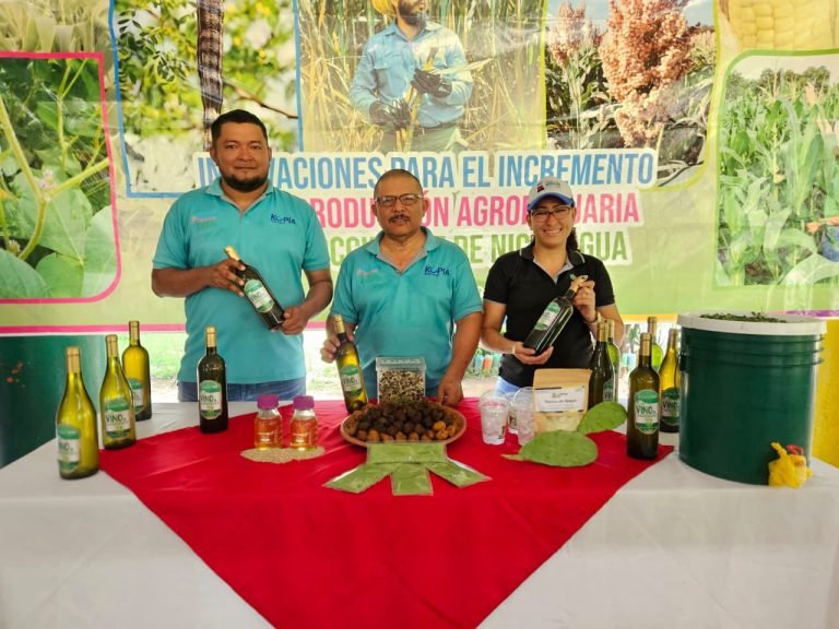 Feria de innovación en transformación de productos de marango, ajonjolí y nopal