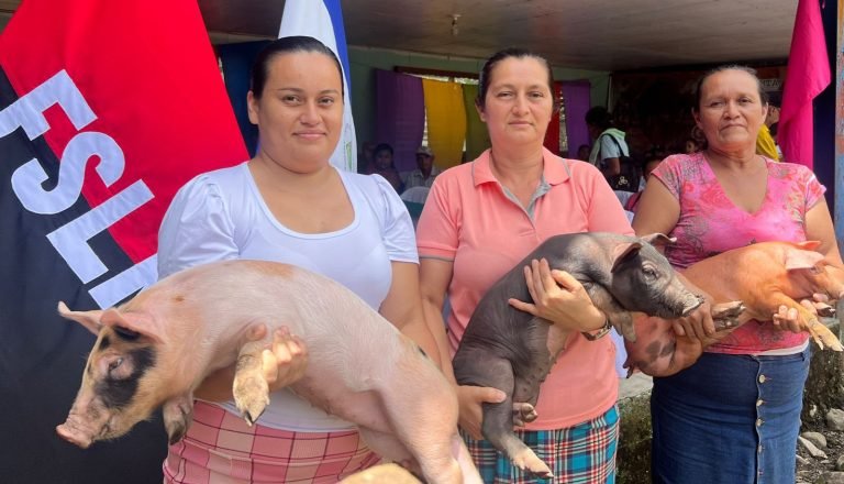 Estrategias Nutricionales para la Producción de Cerdos