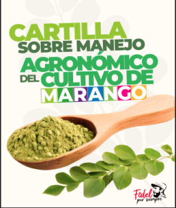 MANEJO AGRONÓMICO DE MARANGO