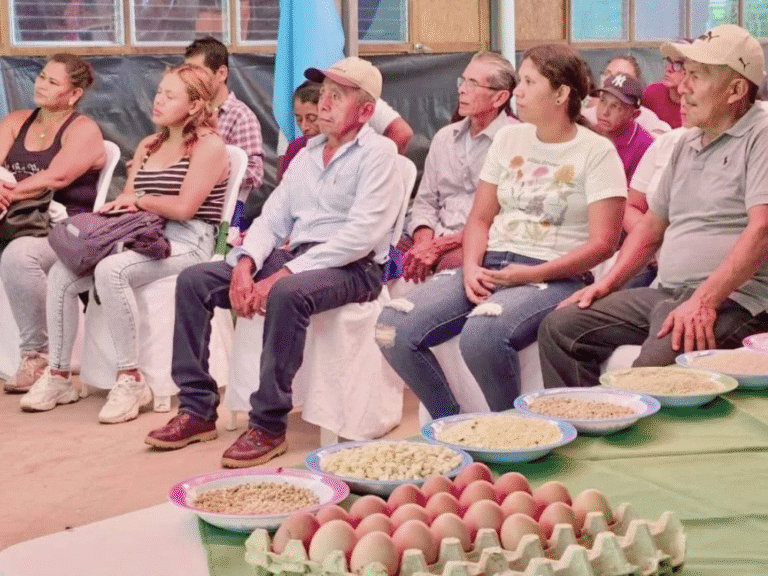 Técnicas para mejorar la salud y aumento de peso de las gallinas de granjas